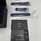 Tudor Pelagos - Image 15