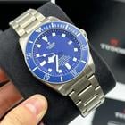 Tudor Pelagos - Image 10