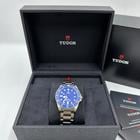 Tudor Pelagos - Image 4