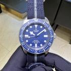 Tudor Pelagos - Image 3