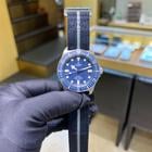 Tudor Pelagos - Image 6