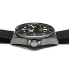 Tudor Pelagos - Image 3