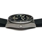 Tudor Pelagos - Image 2