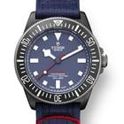 Tudor Pelagos