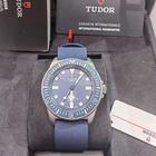 Tudor Pelagos - Image 2