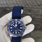 Tudor Pelagos - Image 6