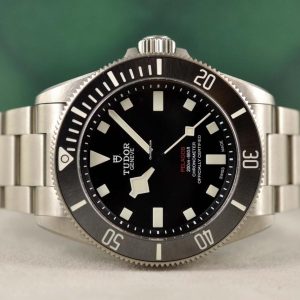 31165374-rxpk2db6s3vc9n6q7y9vx8ec-ExtraLarge.jpg Tudor Pelagos