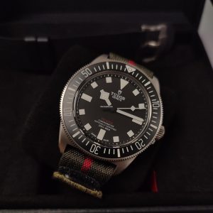 33184263-62guva32xusrqk5rw812u8w8-ExtraLarge.jpg Tudor Pelagos