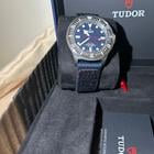 Tudor Pelagos - Image 9
