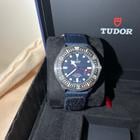 Tudor Pelagos - Image 12