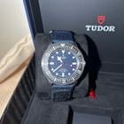 Tudor Pelagos - Image 11