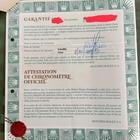 Rolex Explorer II - Image 3