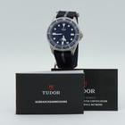 Tudor Pelagos - Image 7