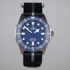 Tudor Pelagos - Image 3