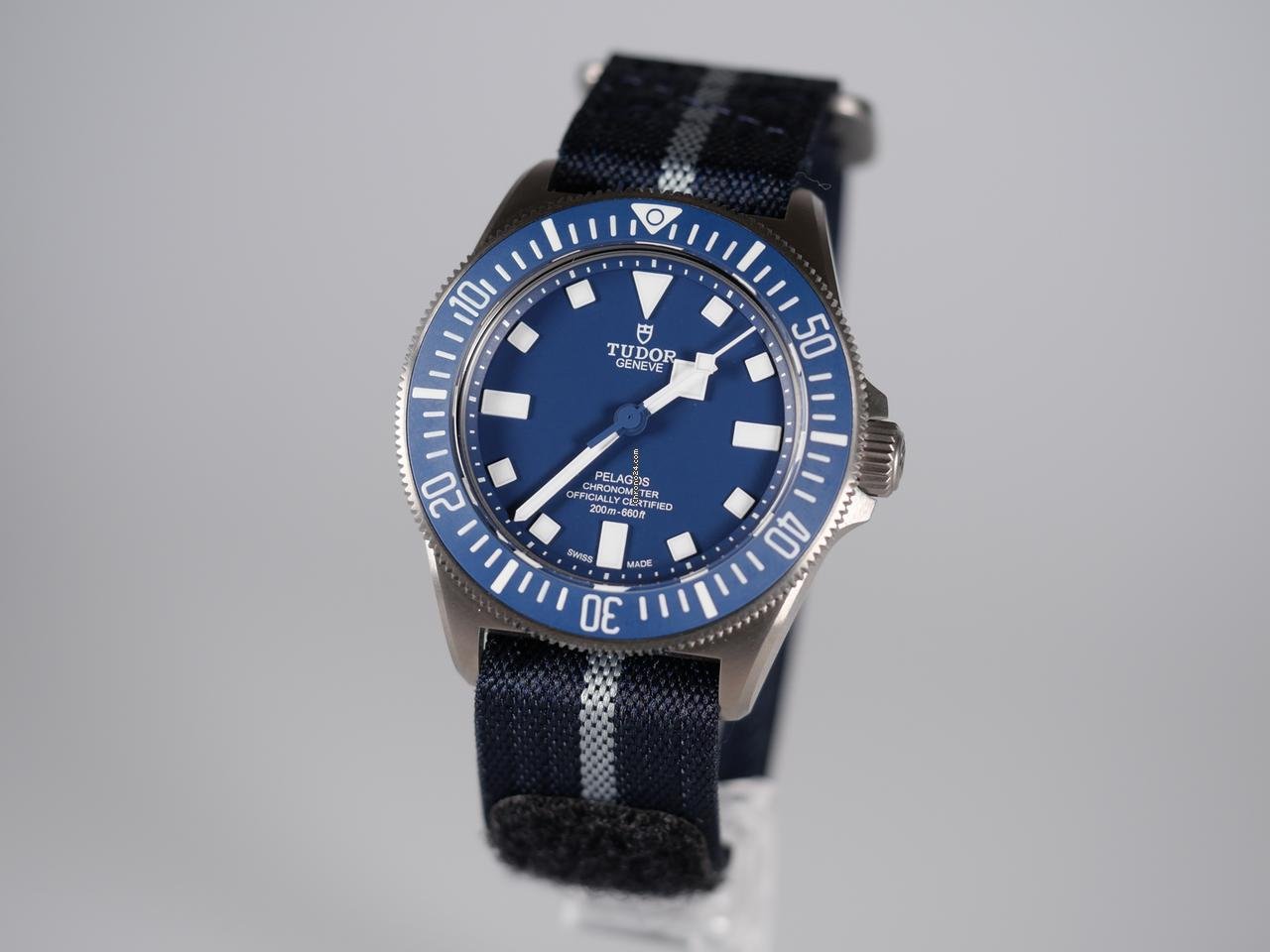 Tudor Pelagos