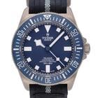 Tudor Pelagos - Image 2