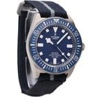 Tudor Pelagos - Image 7