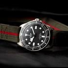 Tudor Pelagos - Image 2