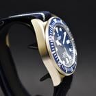 Tudor Pelagos - Image 4