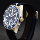 Tudor Pelagos - Image 3