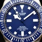 Tudor Pelagos - Image 12