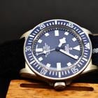 Tudor Pelagos - Image 10