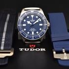 Tudor Pelagos - Image 8
