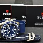 Tudor Pelagos - Image 6