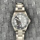 Tudor Pelagos - Image 3