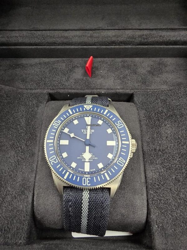 Tudor Pelagos