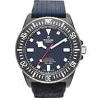 Tudor Pelagos - Image 2
