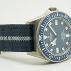 Tudor Pelagos - Image 9
