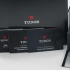 Tudor Pelagos - Image 15