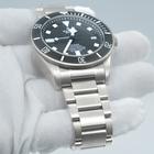 Tudor Pelagos - Image 4