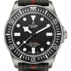 Tudor Pelagos - Image 2