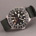 Tudor Pelagos - Image 6