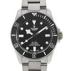 Tudor Pelagos - Image 2