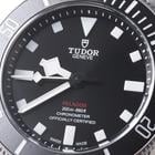 Tudor Pelagos - Image 7