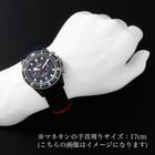 Tudor Pelagos - Image 6