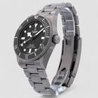 Tudor Pelagos - Image 3