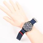 Tudor Pelagos - Image 7