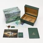 Rolex Explorer II - Image 15