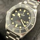 Tudor Pelagos - Image 8