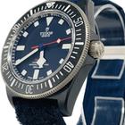 Tudor Pelagos - Image 5