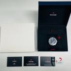 Tudor Pelagos - Image 11