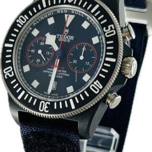 38728523-wpup6slg6uf8mfu2aa9lldvd-ExtraLarge.jpg Tudor Pelagos