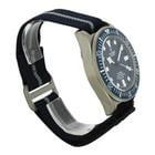 Tudor Pelagos - Image 3