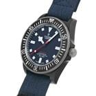 Tudor Pelagos - Image 3