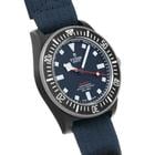 Tudor Pelagos - Image 4