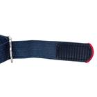 Tudor Pelagos - Image 7